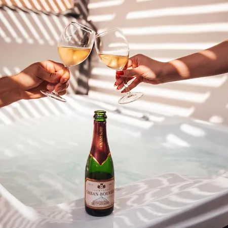 Apartment La Suite 176 - Piscine Privee, Spa, Hammam A Reims